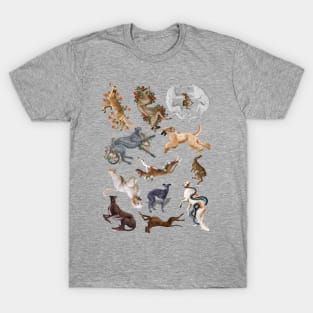 Sighthounds T-Shirt